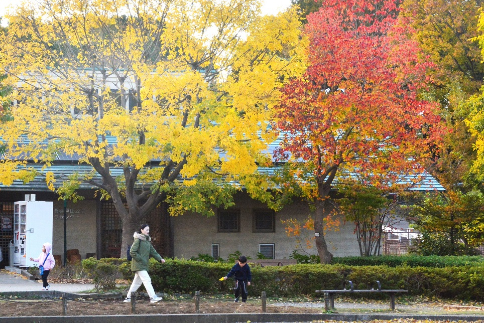 02栗田　谷戸山公園色づく